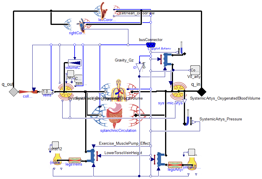 Physiomodel.CardioVascular.VascularCompartments.SystemicCirculationFullDynamic