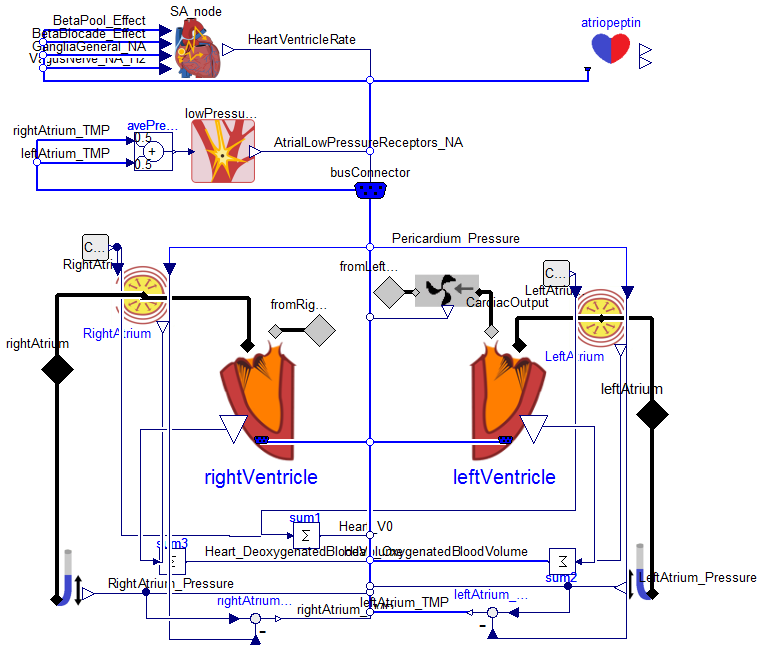 Physiomodel.CardioVascular.Heart.Heart