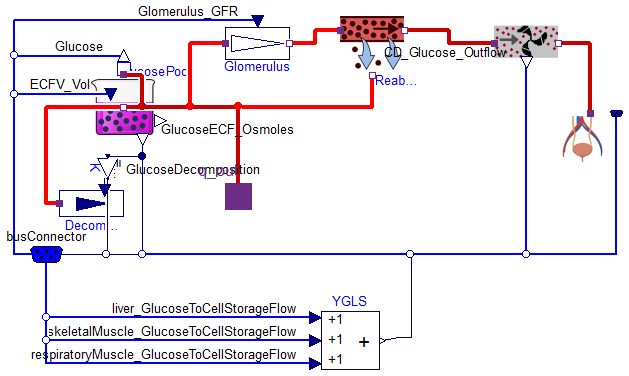 Physiomodel.Metabolism.Glucose