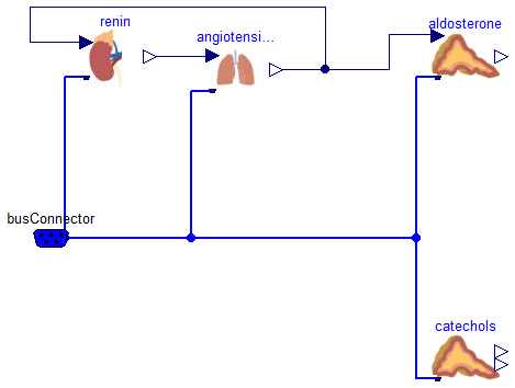 Physiomodel.Hormones.Hormones