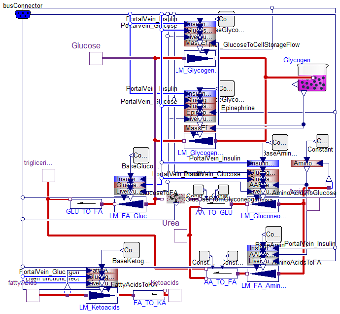 Physiomodel.Metabolism.LiverMetabolism