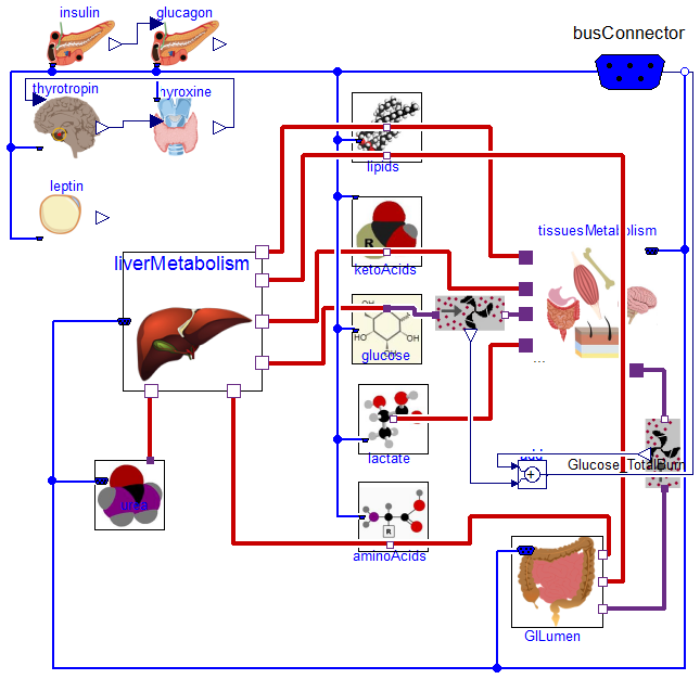 Physiomodel.Metabolism.NutrientsAndMetabolism