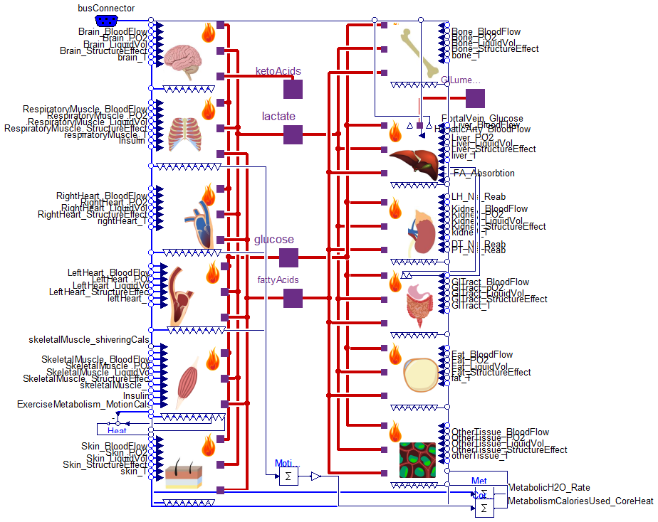 Physiomodel.Metabolism.TissueMetabolism.Metabolism