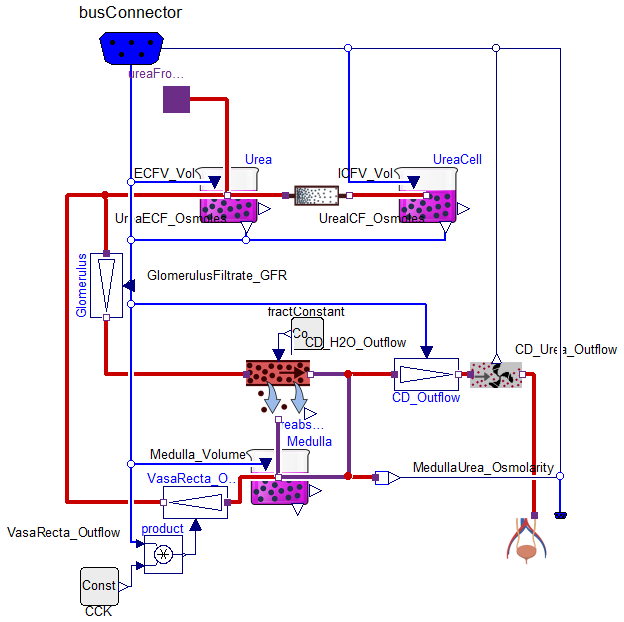Physiomodel.Metabolism.Urea
