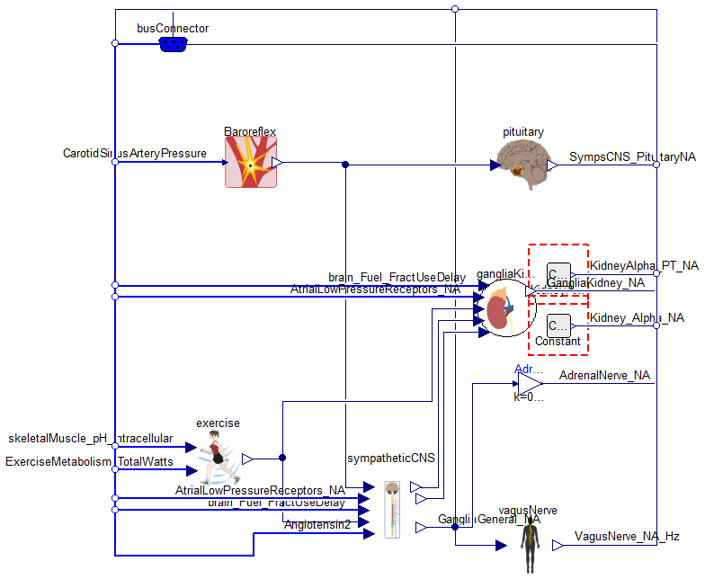 Physiomodel.Nerves.Nerves