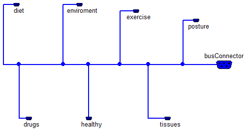 Physiomodel.Setup.Setup