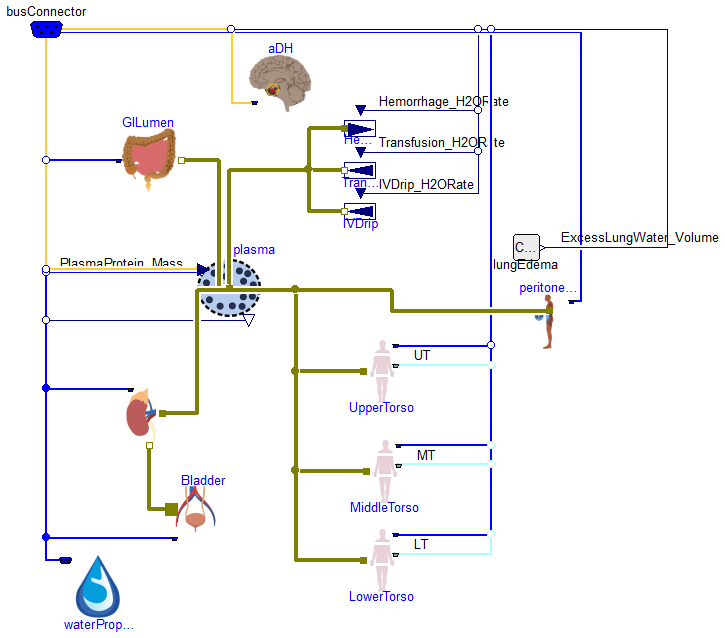 Physiomodel.Water.Water